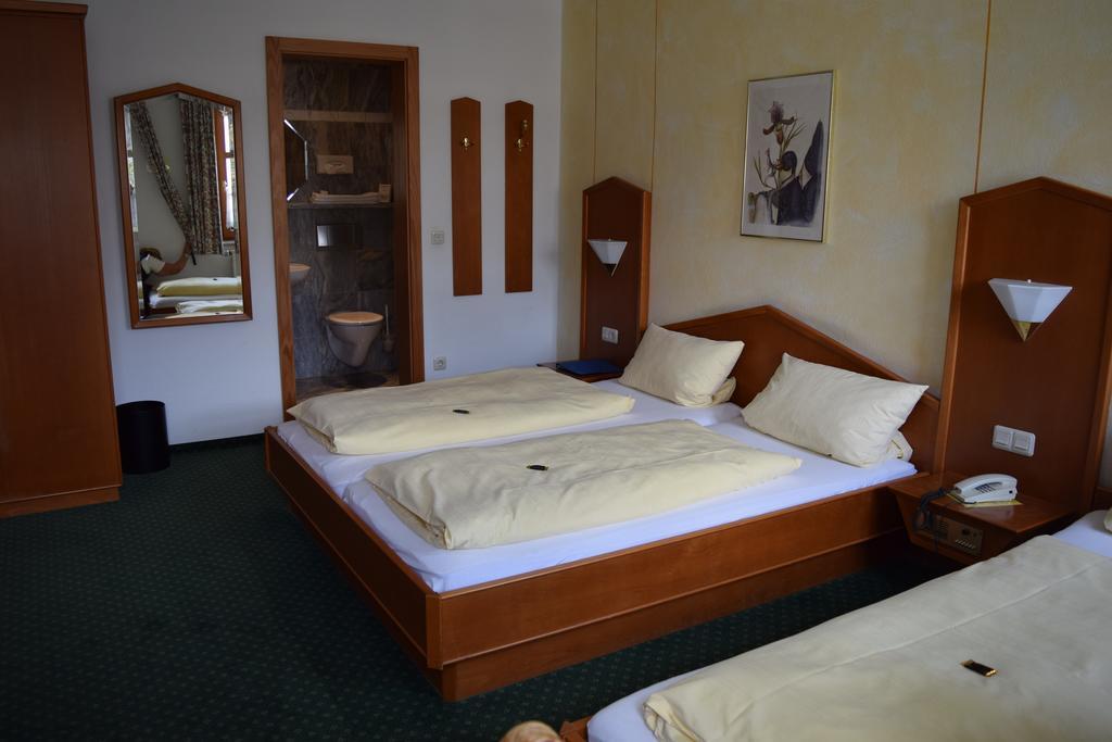 Hotel Zum Braeu Kinding Rum bild