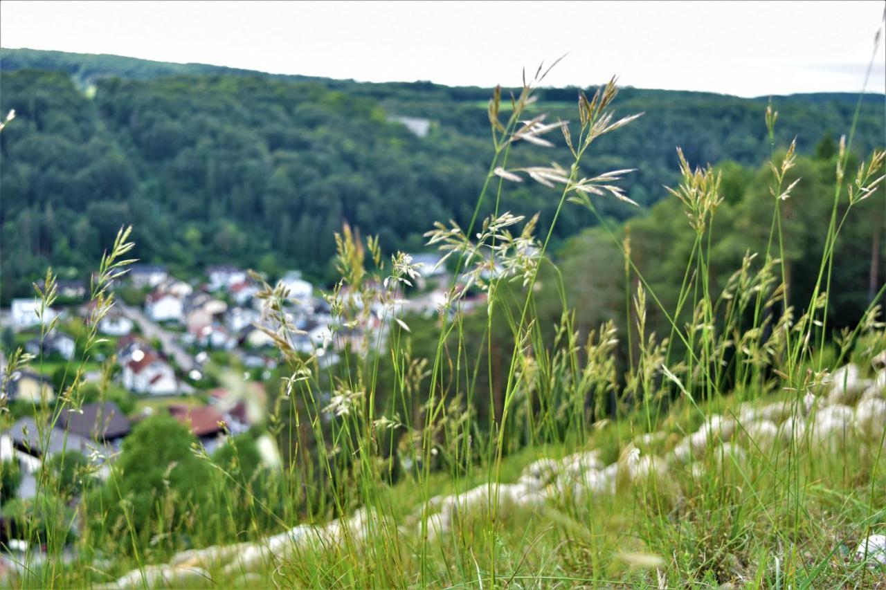 Hotel Zum Braeu Kinding Exteriör bild